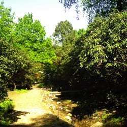 Rhododendrontal im Grugapark
