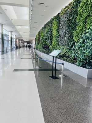 Birmingham-Shuttlesworth International Airport by null