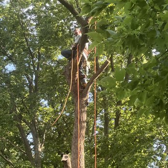 Jamison Tree Service - Tree Services Near Me - Colona, Illinois Jamison Tree Service - Tree Services Near Me - Colona, Illinois