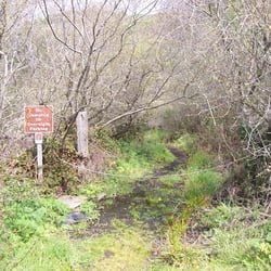 Morse's Gulch Falls - This is the start of the trail | www.eddie-hernandez.com