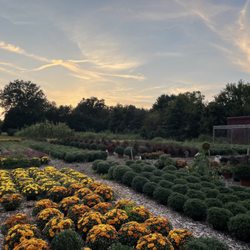 Cedar Hill Farm