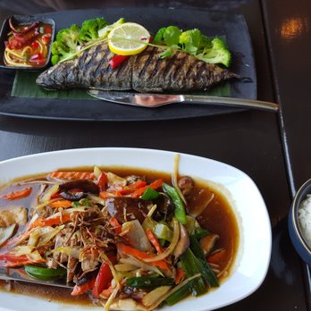 Mai Thai - Fish (up) and duck dish (bottom) - Thai Near Me - Alexandria, Virginia Mai Thai - Fish (up) and duck dish (bottom) - Thai Near Me - Alexandria, Virginia