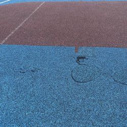 Space Coast Field of Dreams - Aliens ? Why are there circles ?