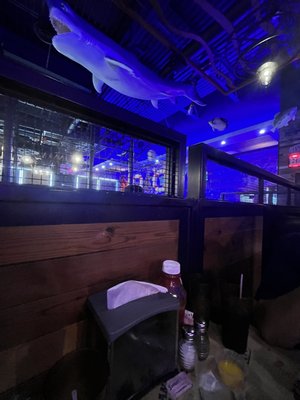 Dancing Crab by null