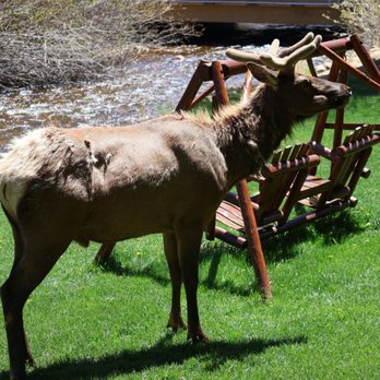 Aspen Winds - My turn to sit in the swing! - Hotels Near Me - Estes Park, Colorado Aspen Winds - My turn to sit in the swing! - Hotels Near Me - Estes Park, Colorado