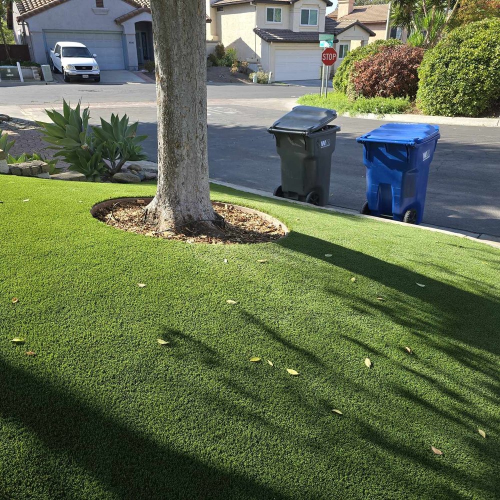 US Turf - Another perfect view. - Artificial Turf Near Me - San Diego, California US Turf - Another perfect view. - Artificial Turf Near Me - San Diego, California