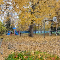 Springer Park