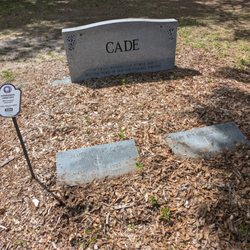 Evergreen Cemetery - Evergreen Cemetery, Gainesville