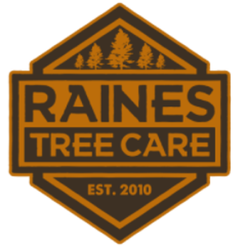 Raines Tree Care - Tree Services Near Me - Bentonville, Arkansas Raines Tree Care - Tree Services Near Me - Bentonville, Arkansas