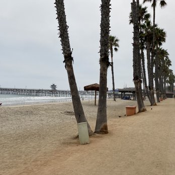 Beach Trail - Beaches Near Me