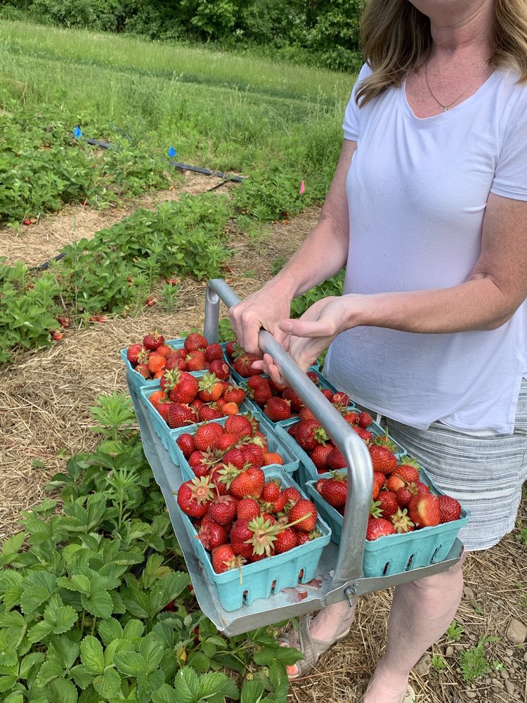 COULTER FARMS MARKET 14 Photos 3870 N Ridge Rd, Lockport, New York