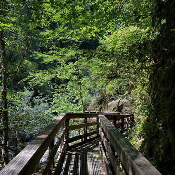 Sweet creek trail - Bridges to pass. - Hiking Near Me - Mapleton, Oregon Sweet creek trail - Bridges to pass. - Hiking Near Me - Mapleton, Oregon