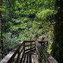 Photo of Sweet creek trail