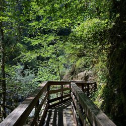 Sweet creek trail - Bridges to pass.