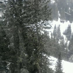 Porta Vescovo - Nevica...