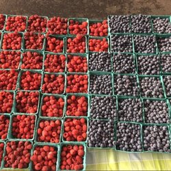 Maynard Farms & Orchards - At the Troy Waterfront Farmer's Market. Stand near 251 River St.