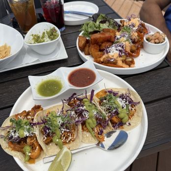 Escondido - 4 taco plate - all chicken and Tempura Fish Tacos - Mexican Near Me - Santa Fe, New Mexico