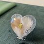 Photo of Green Heart Pet Water Cremation