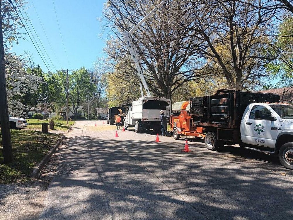 Southwest Tree - tree service in Clever, MO