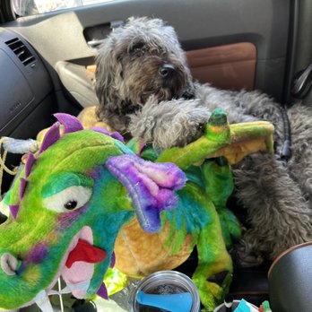 Consignment Envy - Stuffed Dragon Toy-- my golden doodle is obsessed. - Antiques Near Me - Walterboro, South Carolina Consignment Envy - Stuffed Dragon Toy-- my golden doodle is obsessed. - Antiques Near Me - Walterboro, South Carolina