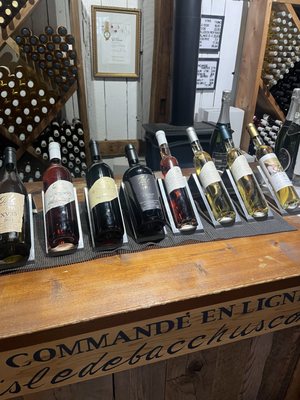 Vignoble Isle de Bacchus by null