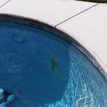 Aquos Pools - Rust Spot before white patch was done in other picture. - Swimming Pools Near Me - Manteca, California Aquos Pools - Rust Spot before white patch was done in other picture. - Swimming Pools Near Me - Manteca, California