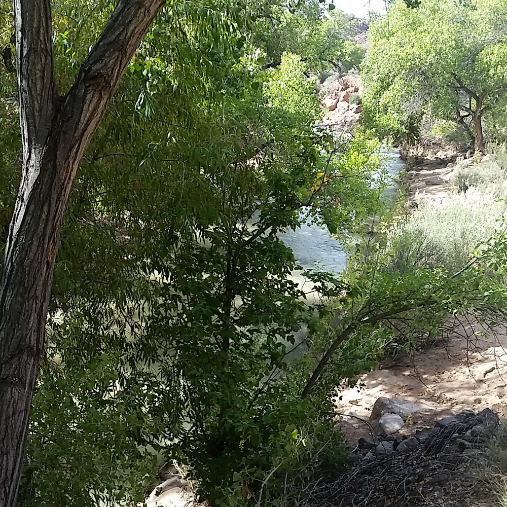 South Campground - Campsite is by the Virgin River - Campgrounds Near Me - Springdale, Utah South Campground - Campsite is by the Virgin River - Campgrounds Near Me - Springdale, Utah