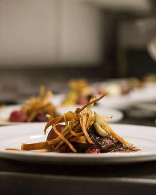 fusion grill by null