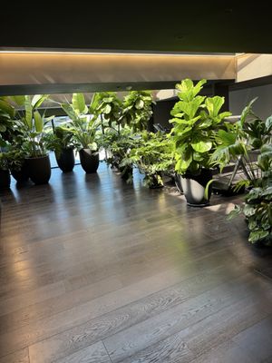 Hotel AKA Alexandria by null