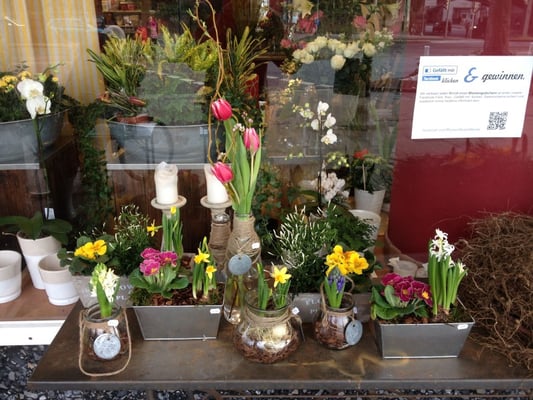 BLUMEN BUSSE Updated August 2024 TheodorHeussPlatz 1, Neuss