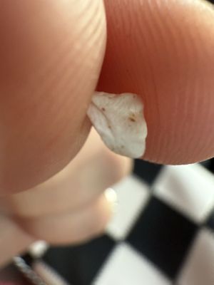 Frostbites Crepes & Frozen Delights by null