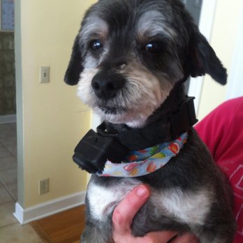 Kozy Cuts - Cracker Jacks - Pet Groomers Near Me Kozy Cuts - Cracker Jacks - Pet Groomers Near Me