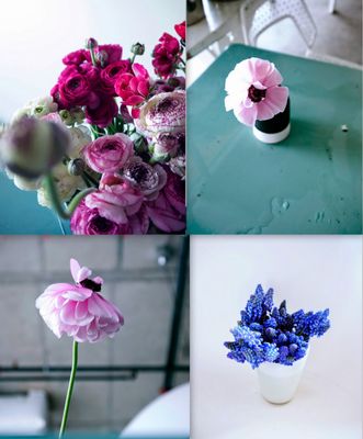 Lucy's Flowers by null