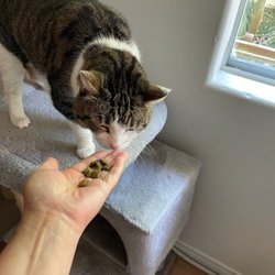 Fay’s Loving Pet Care