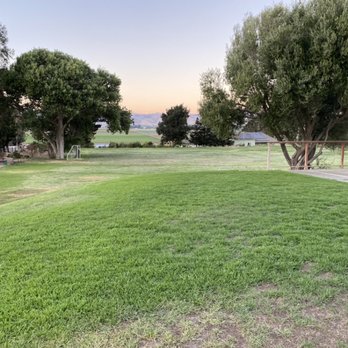 Rubio's Lawn Mowing Services - Lawn Services Near Me