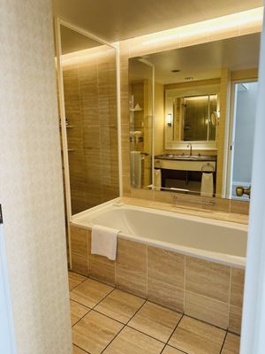 Hyatt Regency Cologne by null