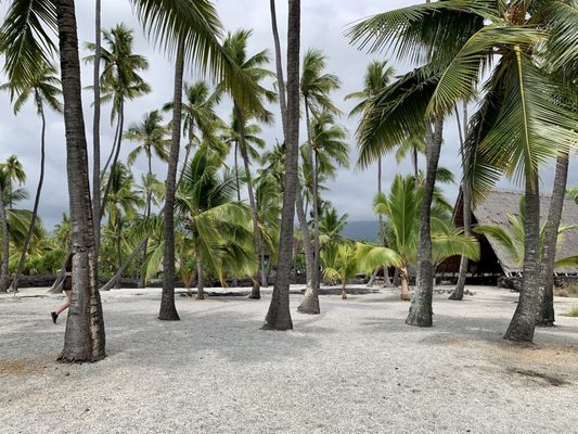 Pu'uhonua O Honaunau National Historical Park by null
