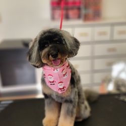 Graceful Grooming