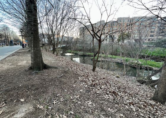Little Sugar Creek Greenway by null