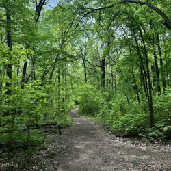 University of Wisconsin-Madison Arboretum