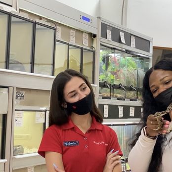 Beverly's Pet Center - Holding a ball python. Victoria said I did better than many people holding it for my first time. - Pet Stores Near Me - Pembroke Pines, Florida Beverly's Pet Center - Holding a ball python. Victoria said I did better than many people holding it for my first time. - Pet Stores Near Me - Pembroke Pines, Florida