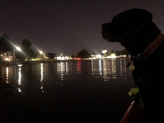 Bayou St John by null