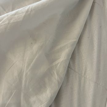 Valverde Cleaning Services - Dog hair on top sheet - Home Cleaning Near Me Valverde Cleaning Services - Dog hair on top sheet - Home Cleaning Near Me