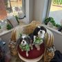 Photo of Shoreline Pet Grooming