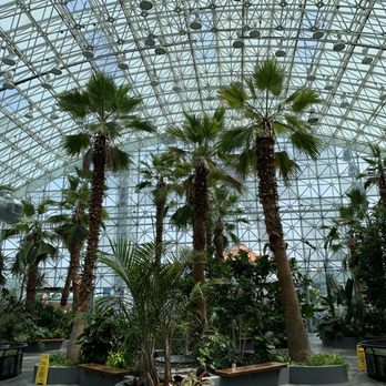 Navy Pier - Landmarks & Historical Buildings Near Me - Chicago, Illinois