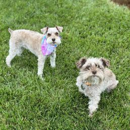 Gretta (left) and her older sister, Georgie.