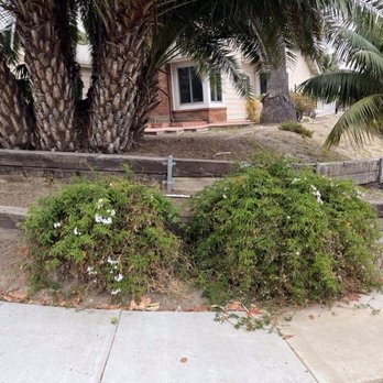 Eccentric Landscape Designs - Beginning photo of front scape (ugly) but will transform! - Landscaping Near Me Eccentric Landscape Designs - Beginning photo of front scape (ugly) but will transform! - Landscaping Near Me