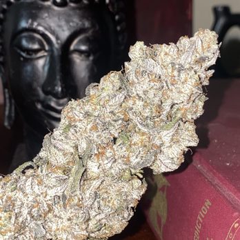 Speedy Jane's - Cannabis Dispensaries Near Me - Hillsboro, Oregon Speedy Jane's - Cannabis Dispensaries Near Me - Hillsboro, Oregon