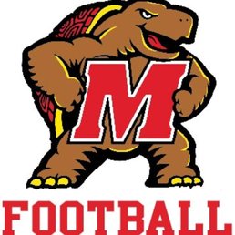 When a U of Maryland game is on; this statue is on the bar to show Terps fans where to sit !