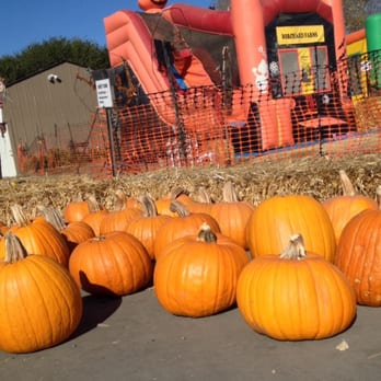 Borchard Farms - Pumpkin Patches Near Me - Salinas, California